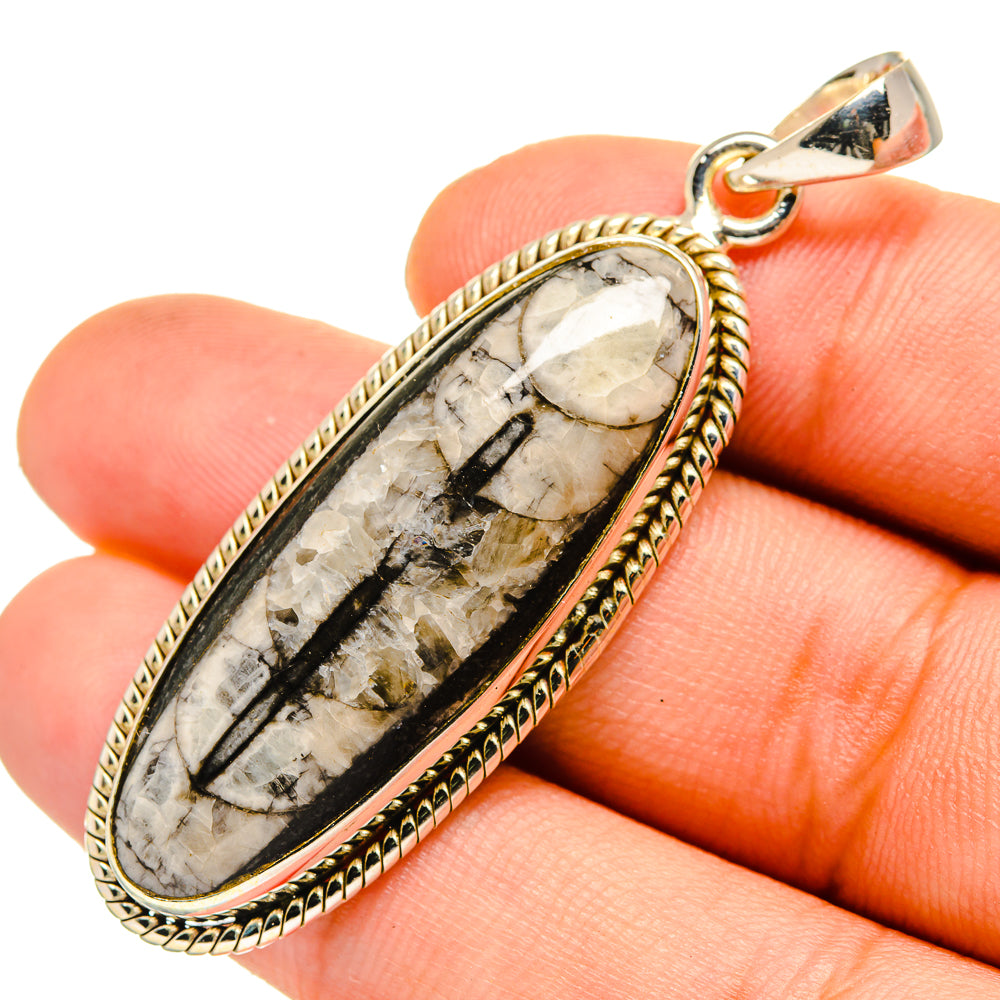Orthoceras Fossil Pendants handcrafted by Ana Silver Co - PD10803