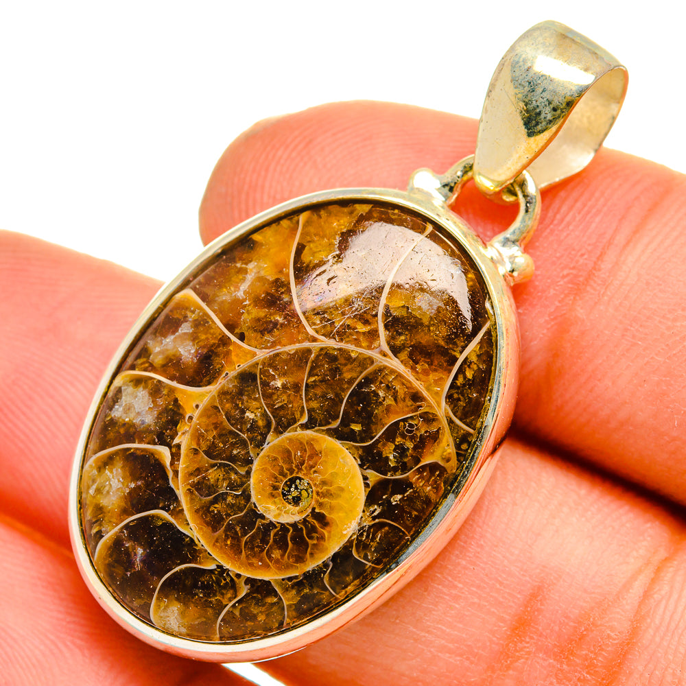Ammonite fossil pendant in 925 sterling silver bezel, oval amber fossil detail