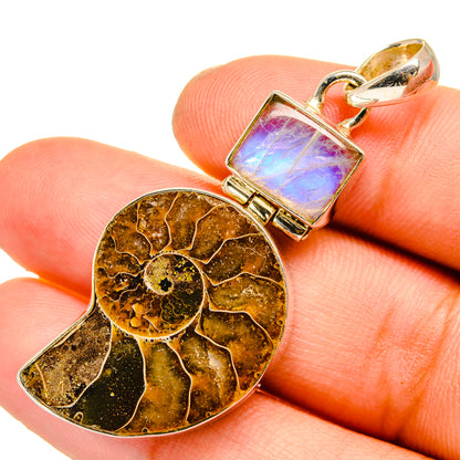 Ammonite Fossil Pendants handcrafted by Ana Silver Co - PD10886