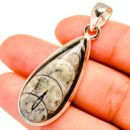 Orthoceras Fossil Pendants handcrafted by Ana Silver Co - PD10895