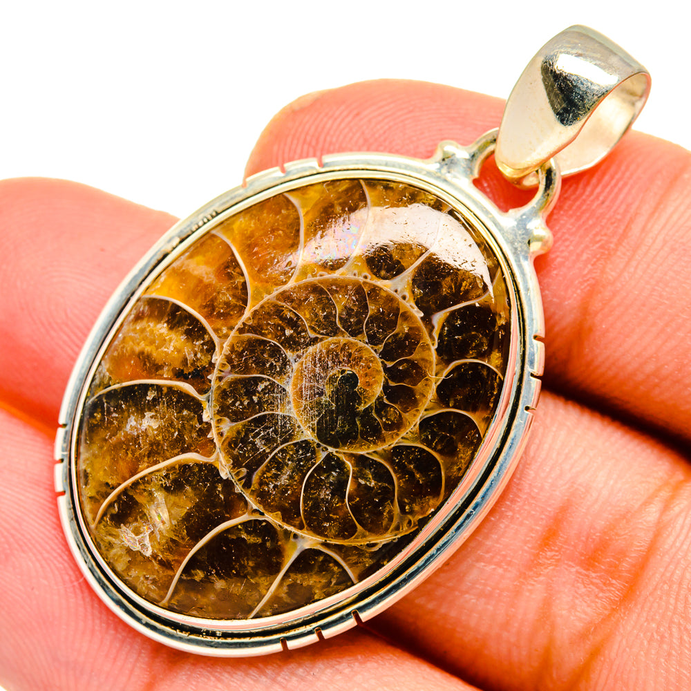 Ammonite Fossil Pendants handcrafted by Ana Silver Co - PD10943
