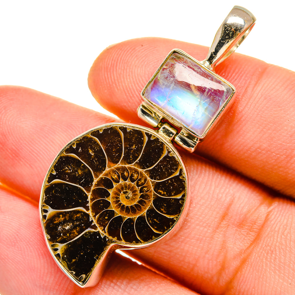 Ammonite Fossil Pendants handcrafted by Ana Silver Co - PD10966