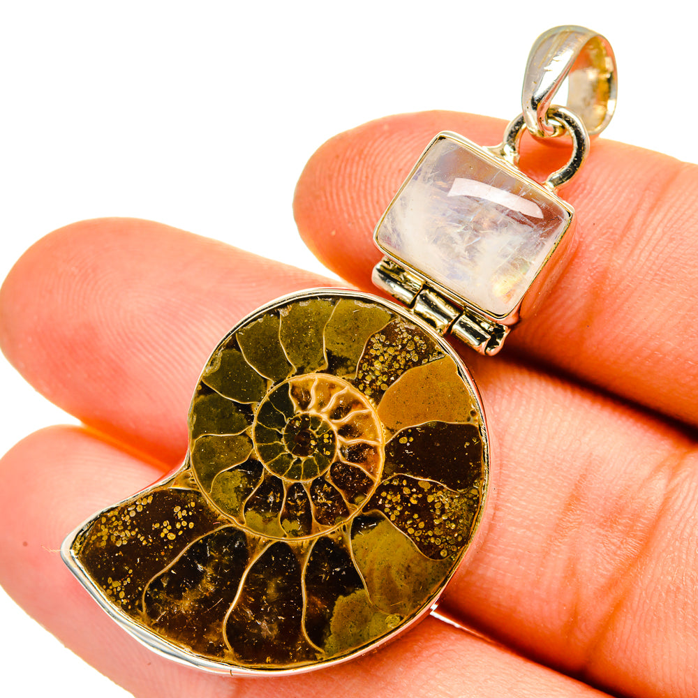 Ammonite Fossil Pendants handcrafted by Ana Silver Co - PD11059