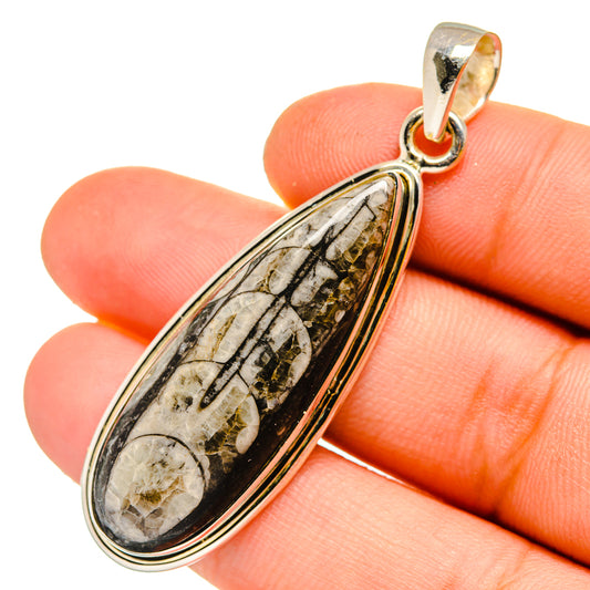 Orthoceras Fossil Pendants handcrafted by Ana Silver Co - PD11061