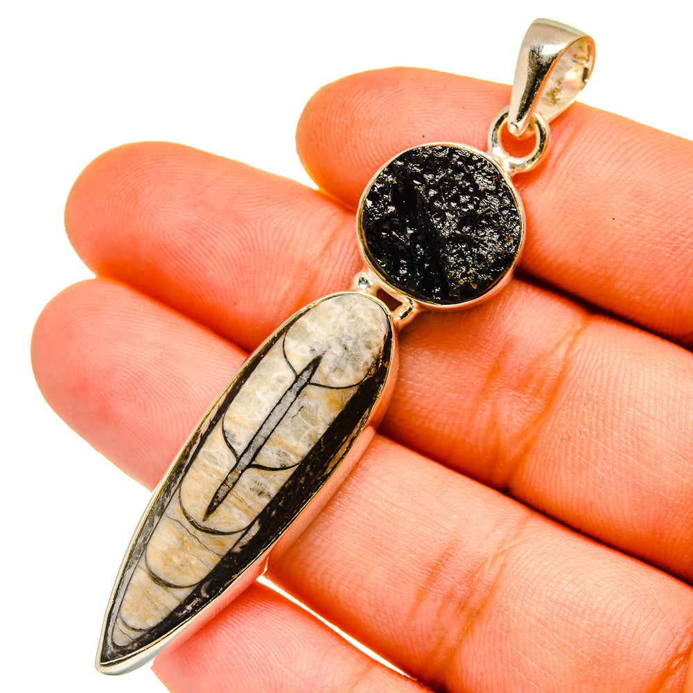Orthoceras Fossil Pendants handcrafted by Ana Silver Co - PD11084