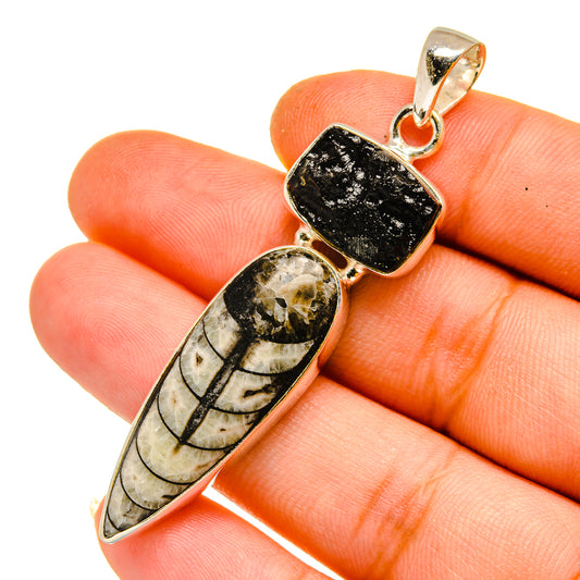 Orthoceras Fossil Pendants handcrafted by Ana Silver Co - PD11089