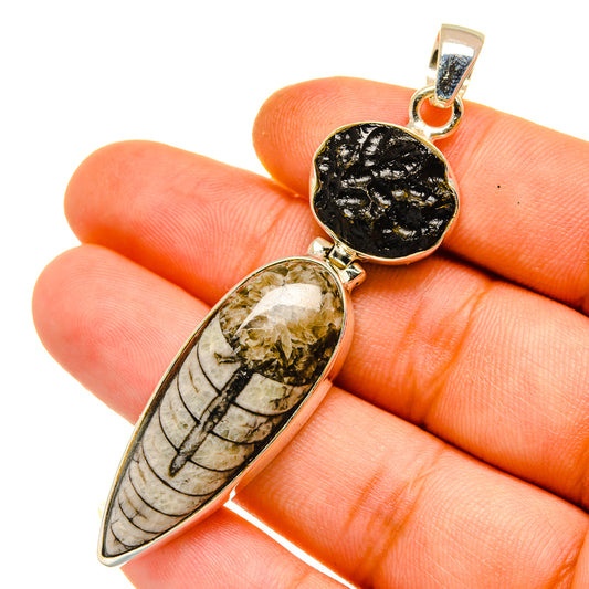 Orthoceras Fossil Pendants handcrafted by Ana Silver Co - PD11090