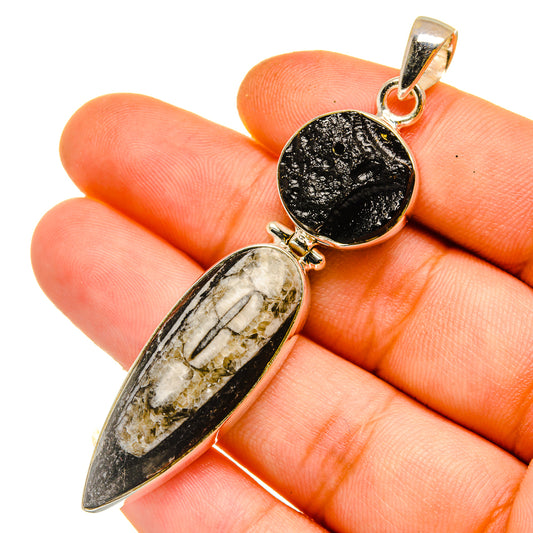 Orthoceras Fossil Pendants handcrafted by Ana Silver Co - PD11091