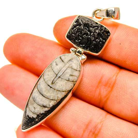 Orthoceras Fossil Pendants handcrafted by Ana Silver Co - PD11092