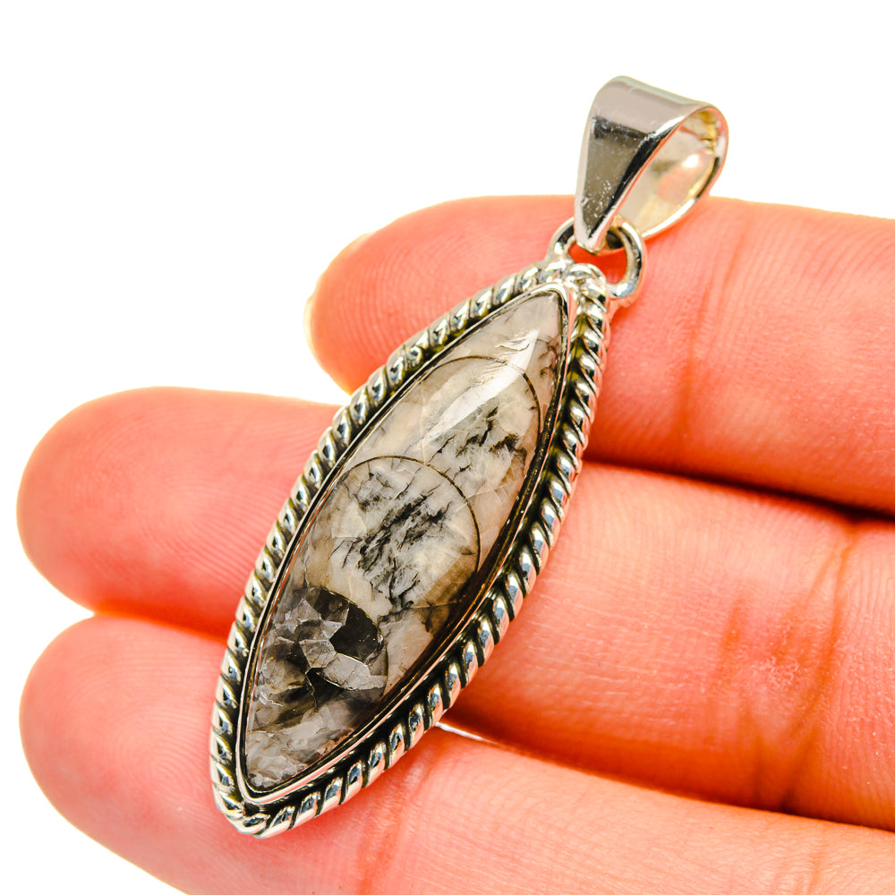 Orthoceras Fossil Pendants handcrafted by Ana Silver Co - PD11275