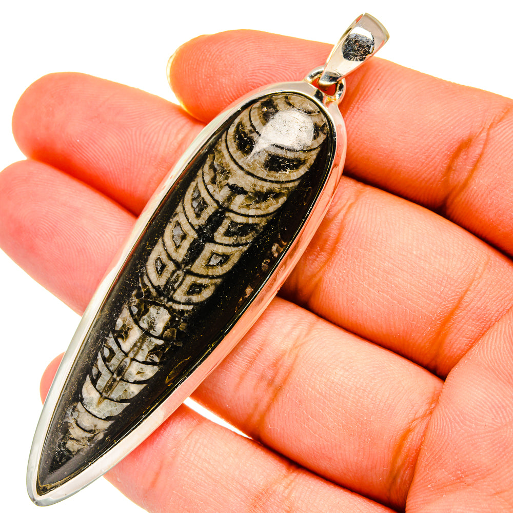 Orthoceras Fossil Pendants handcrafted by Ana Silver Co - PD11458