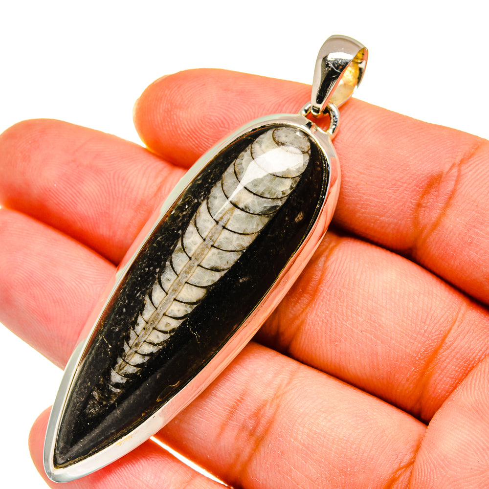 Orthoceras Fossil Pendants handcrafted by Ana Silver Co - PD11459