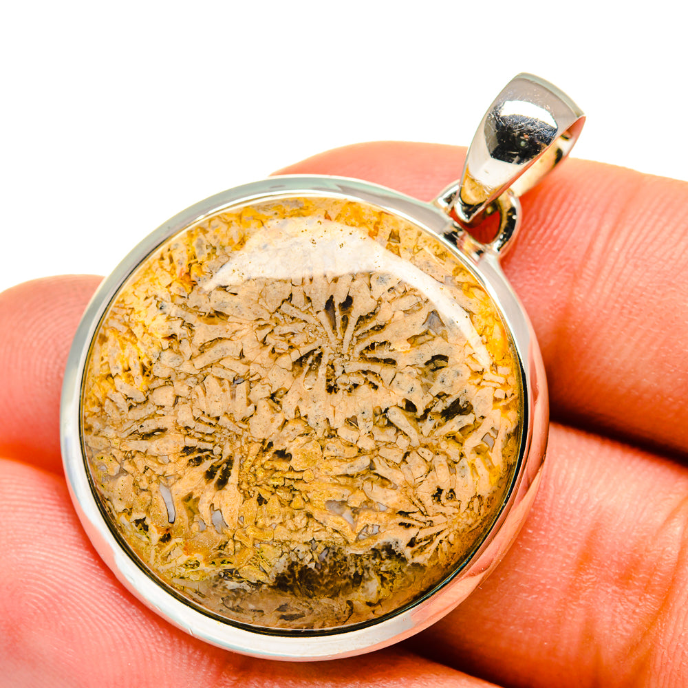 Fossil Coral Pendants handcrafted by Ana Silver Co - PD12077