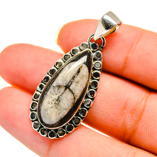 Orthoceras Fossil Pendants handcrafted by Ana Silver Co - PD12485