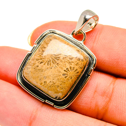 Fossil Coral Pendants handcrafted by Ana Silver Co - PD12611