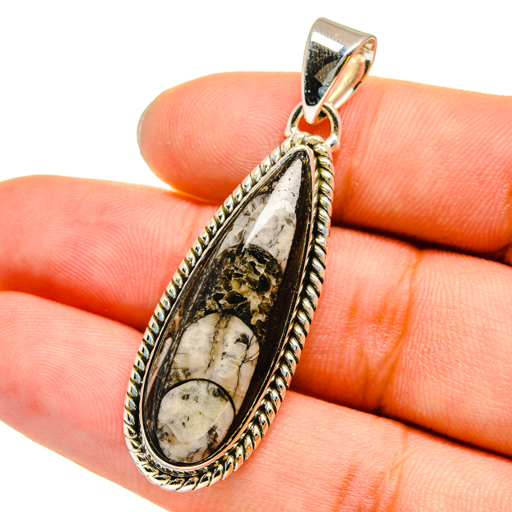 Teardrop fossil pendant with silver setting and marbled stone cabochon, rope border