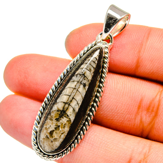 Orthoceras Fossil Pendants handcrafted by Ana Silver Co - PD13326