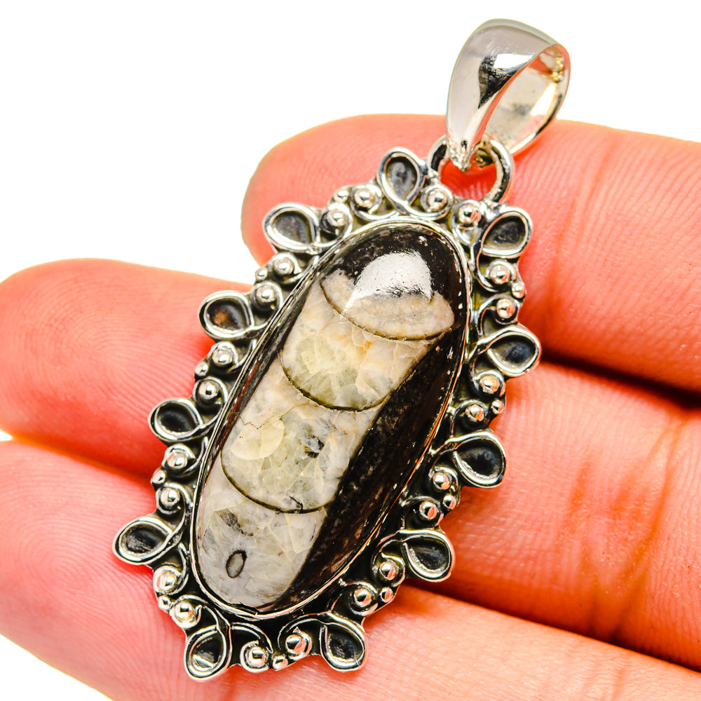 Orthoceras Fossil Pendants handcrafted by Ana Silver Co - PD13332