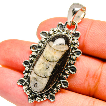 Orthoceras Fossil Pendants handcrafted by Ana Silver Co - PD13332