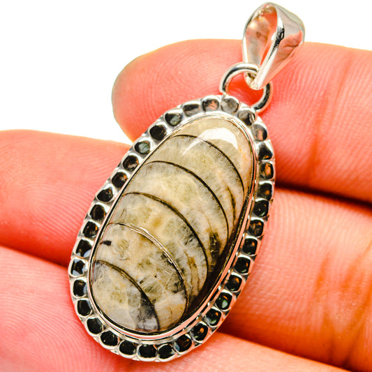 Orthoceras Fossil Pendants handcrafted by Ana Silver Co - PD13334