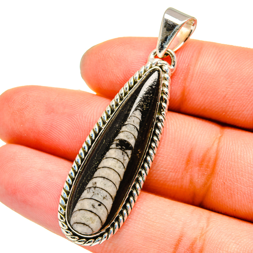 Orthoceras Fossil Pendants handcrafted by Ana Silver Co - PD13353