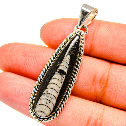 Orthoceras Fossil Pendants handcrafted by Ana Silver Co - PD13353