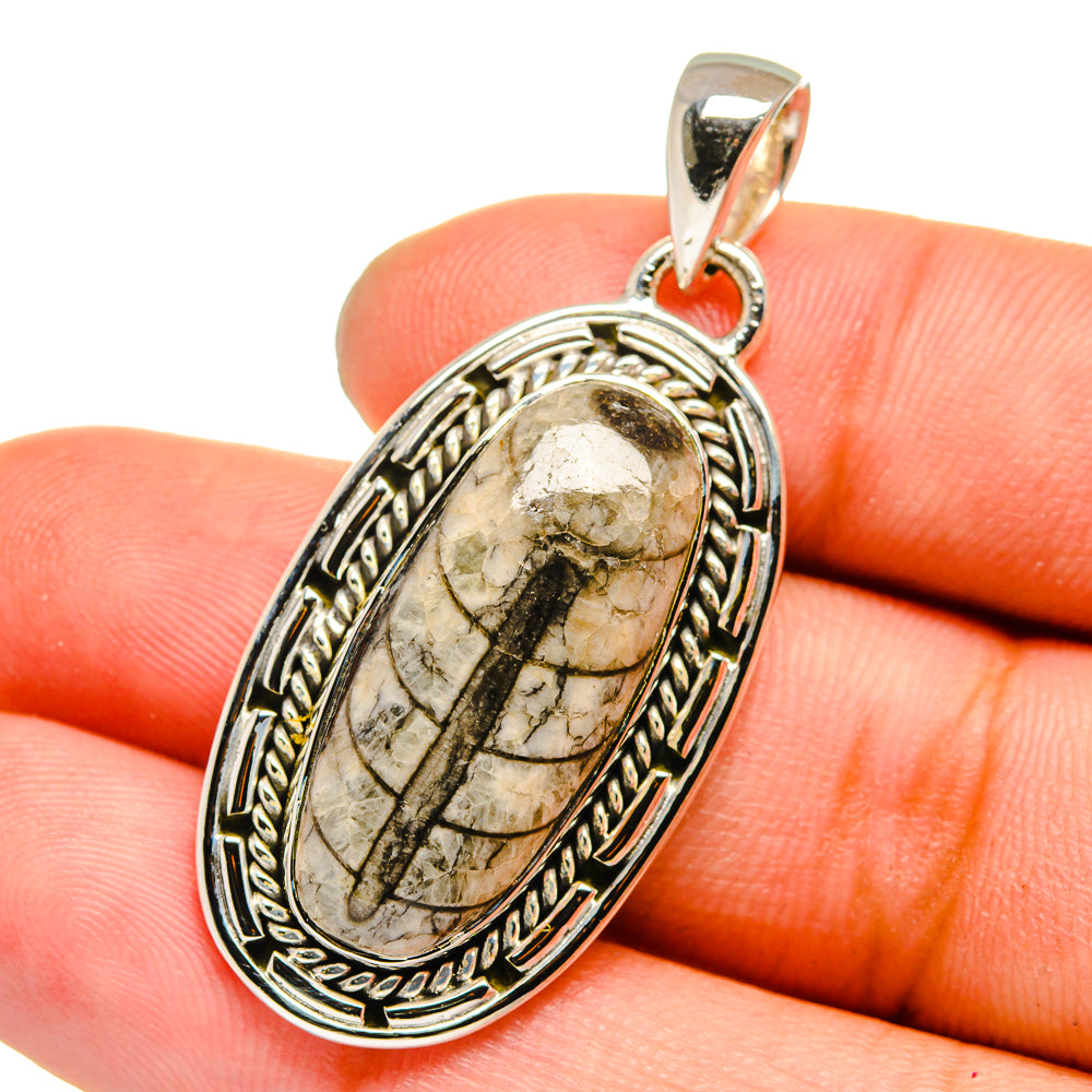 Sterling silver fossil pendant with oval Orthoceras stone, ornate bezel and top loop