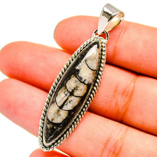 Orthoceras Fossil Pendants handcrafted by Ana Silver Co - PD13380