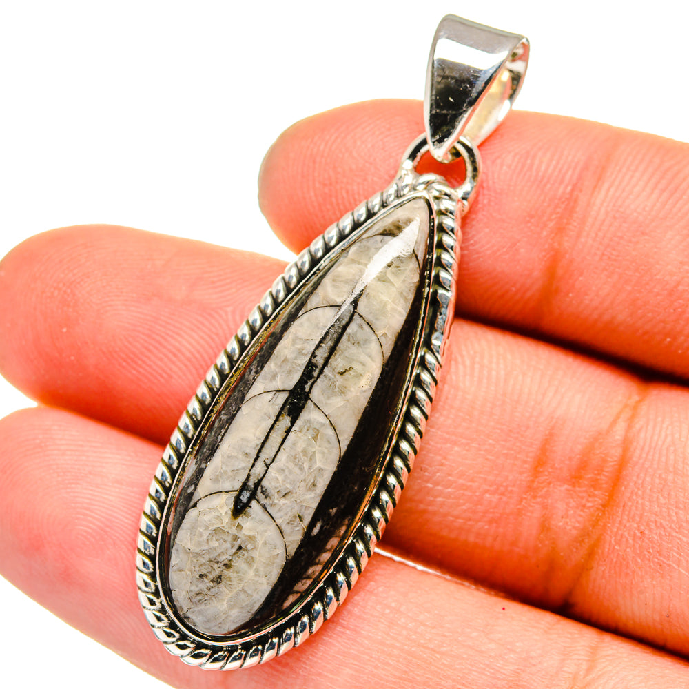 Orthoceras Fossil Pendants handcrafted by Ana Silver Co - PD13381