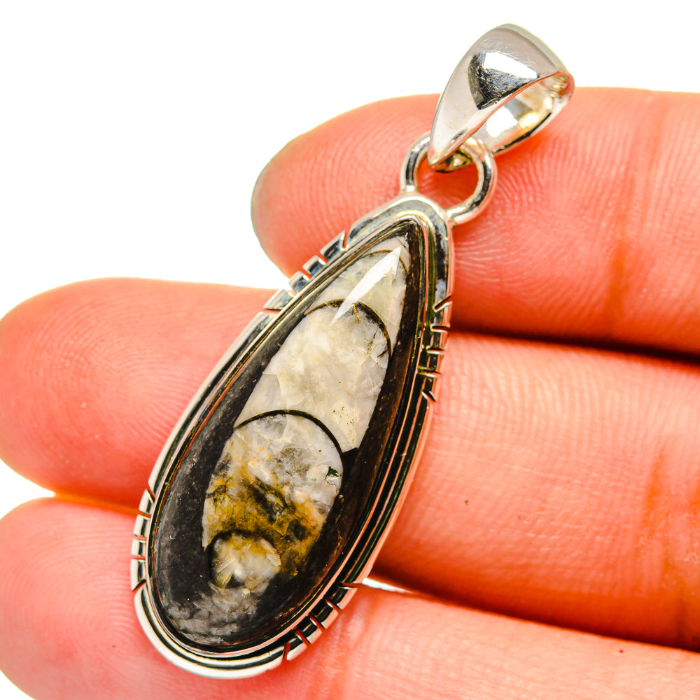 Orthoceras Fossil Pendants handcrafted by Ana Silver Co - PD13385