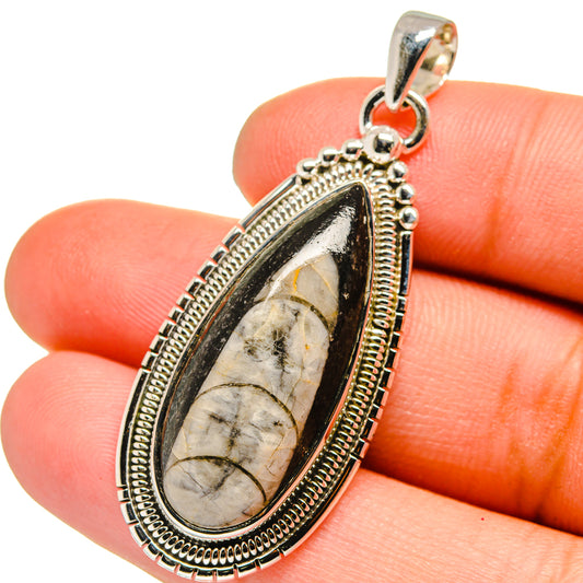 Orthoceras Fossil Pendants handcrafted by Ana Silver Co - PD13397