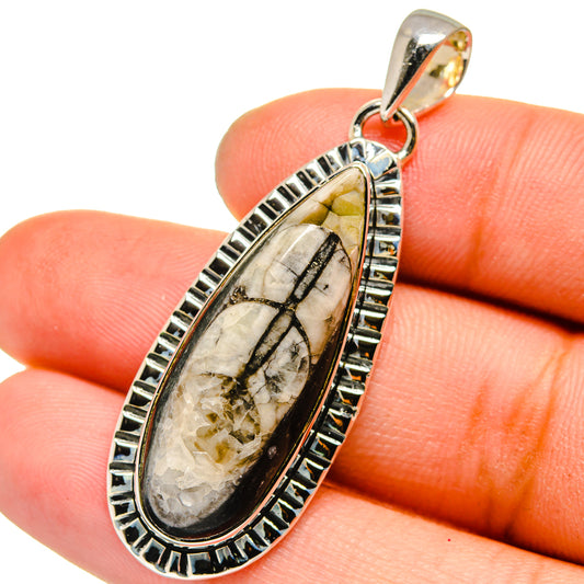 Orthoceras Fossil Pendants handcrafted by Ana Silver Co - PD13400