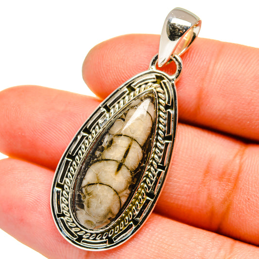 Orthoceras Fossil Pendants handcrafted by Ana Silver Co - PD13412