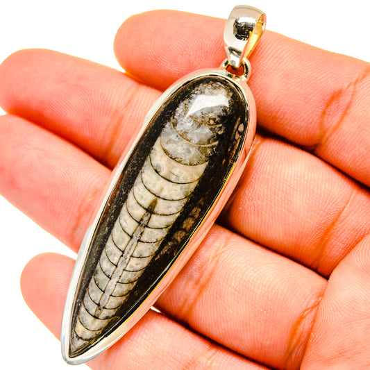 Orthoceras Fossil Pendants handcrafted by Ana Silver Co - PD13443