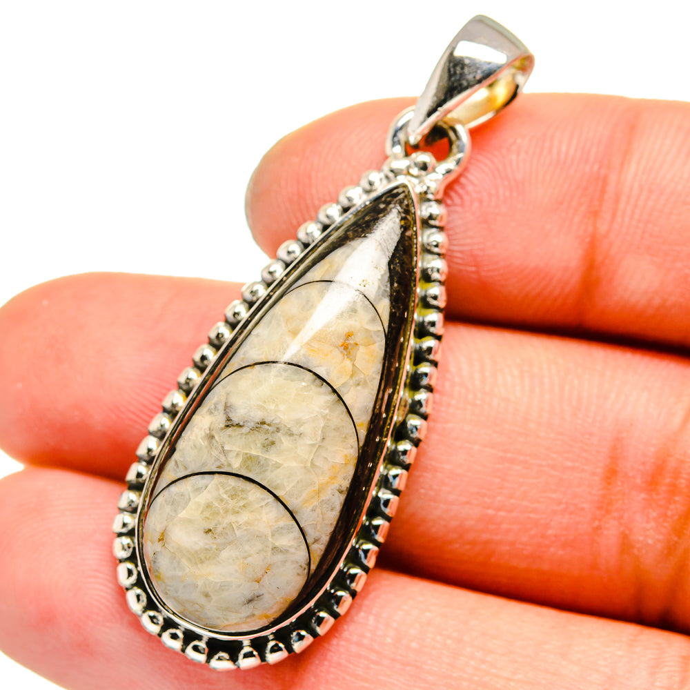 Orthoceras Fossil Pendants handcrafted by Ana Silver Co - PD13533
