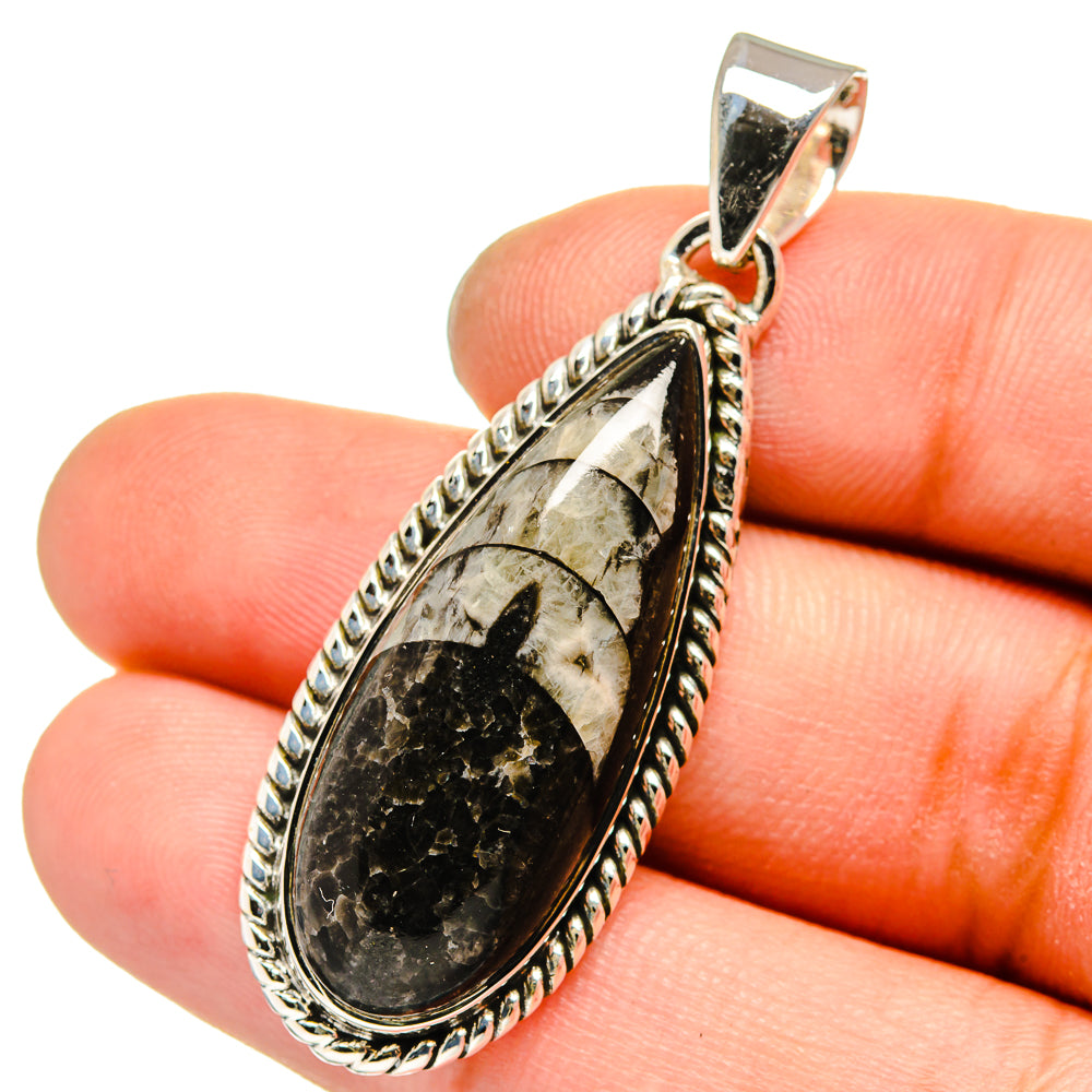 Orthoceras Fossil Pendants handcrafted by Ana Silver Co - PD13610