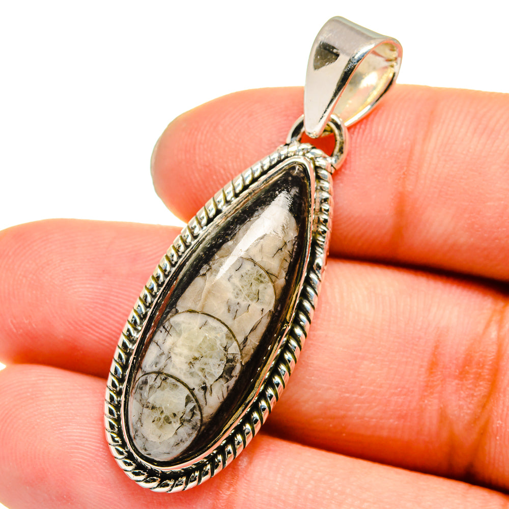 Orthoceras Fossil Pendants handcrafted by Ana Silver Co - PD13640