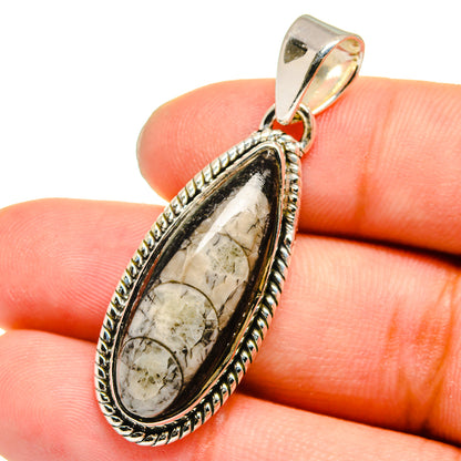 Orthoceras Fossil Pendants handcrafted by Ana Silver Co - PD13640