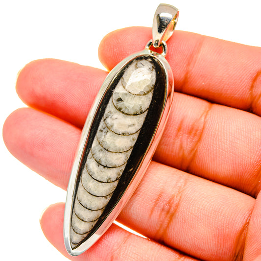 Orthoceras Fossil Pendants handcrafted by Ana Silver Co - PD14755