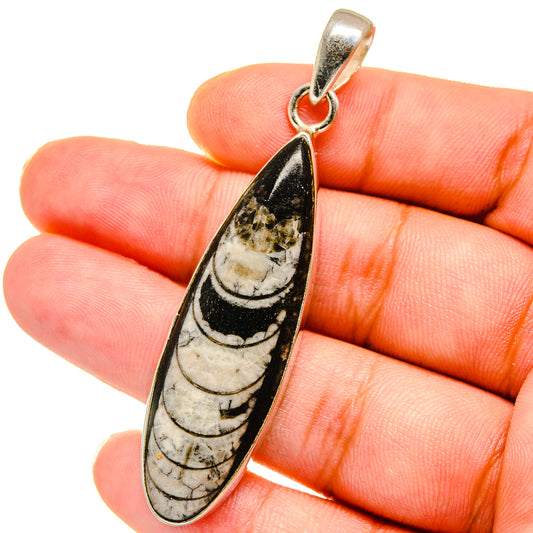Orthoceras Fossil Pendants handcrafted by Ana Silver Co - PD14777