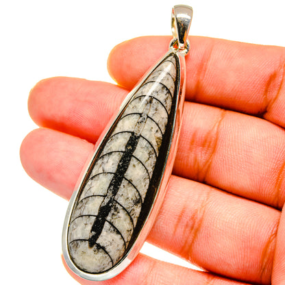 Orthoceras Fossil Pendants handcrafted by Ana Silver Co - PD14779