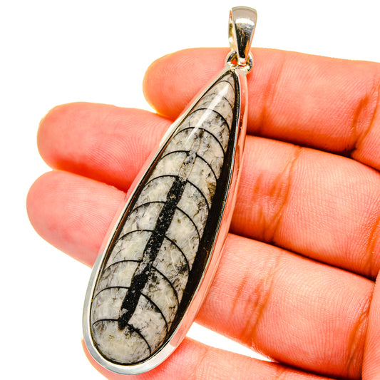 Orthoceras Fossil Pendants handcrafted by Ana Silver Co - PD14779