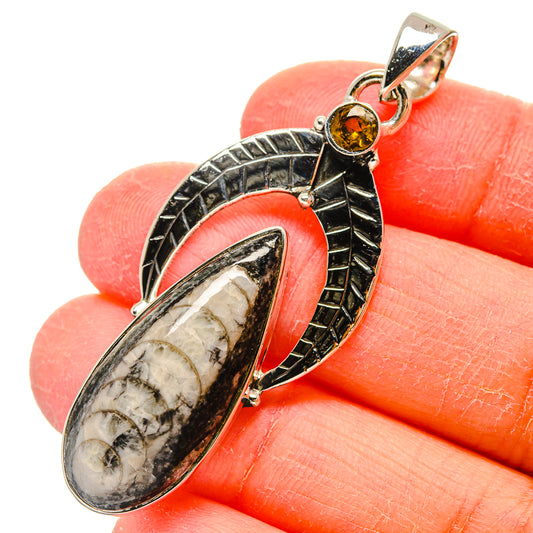 Orthoceras Fossil Pendants handcrafted by Ana Silver Co - PD17321