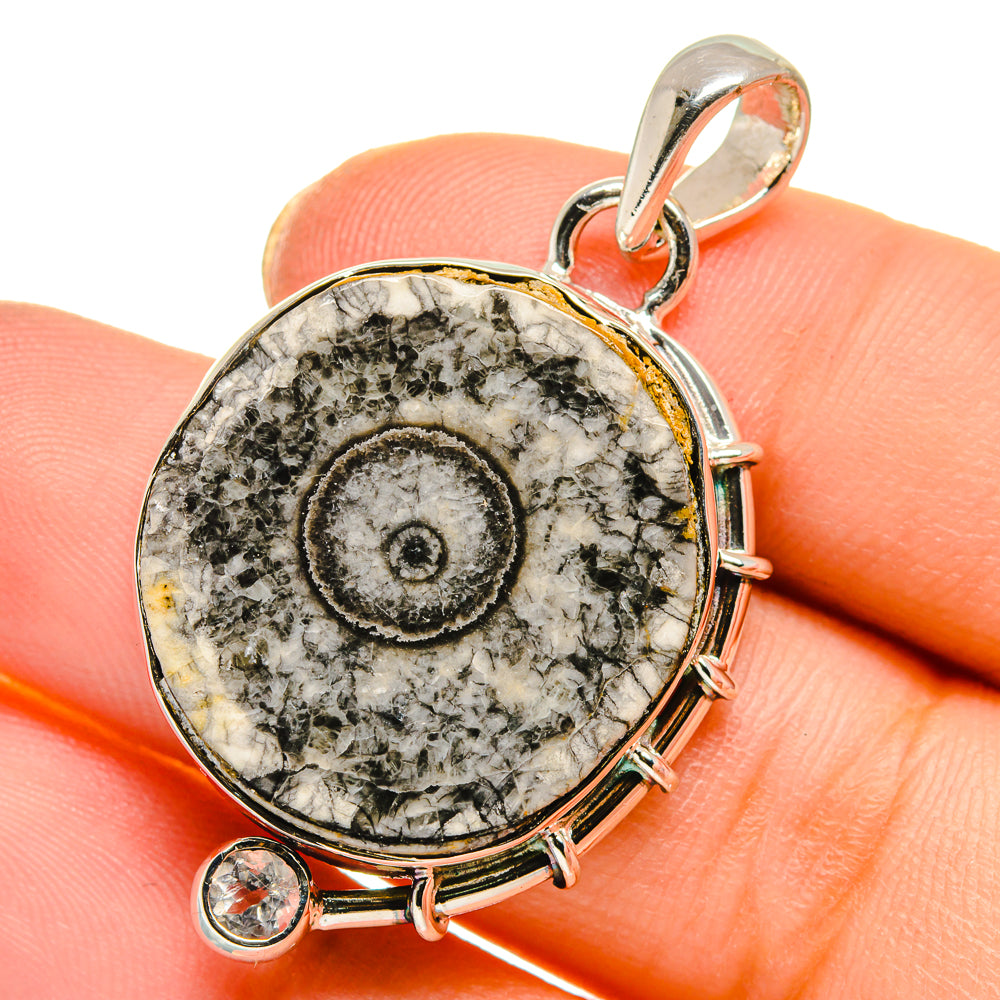 Moroccan Goniatite Fossil Pendants handcrafted by Ana Silver Co - PD17777