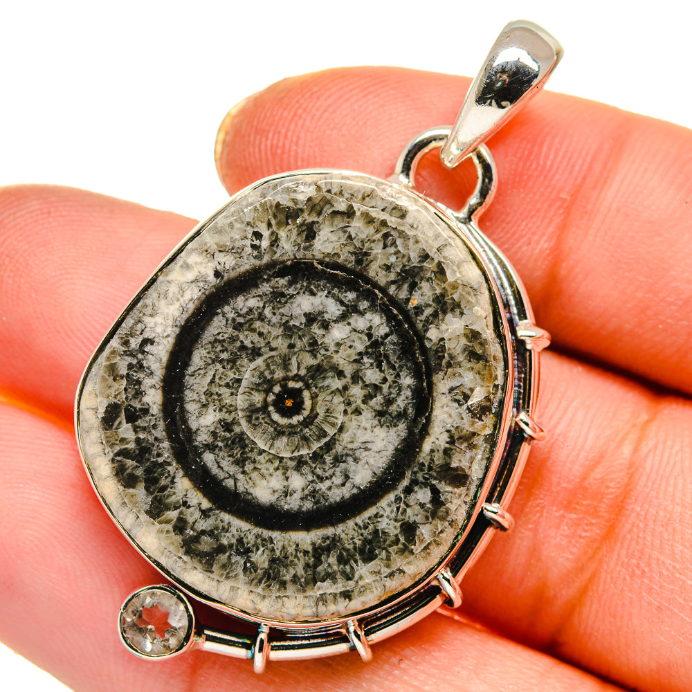 Moroccan Goniatite Fossil Pendants handcrafted by Ana Silver Co - PD17781
