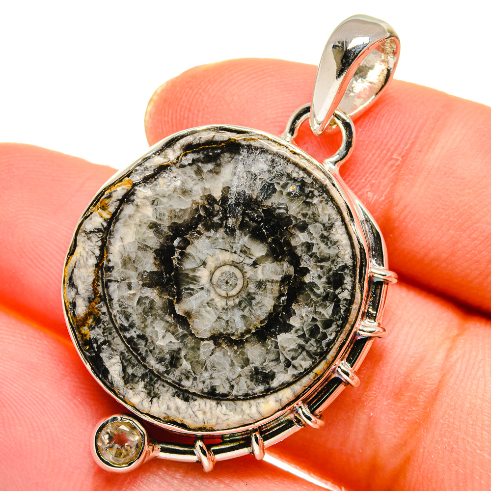 Goniatite Fossil Pendants handcrafted by Ana Silver Co - PD17904