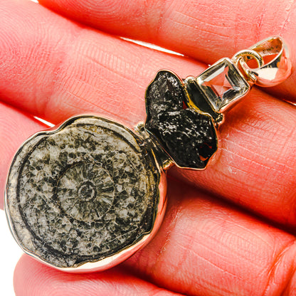Goniatite Fossil Pendants handcrafted by Ana Silver Co - PD18124