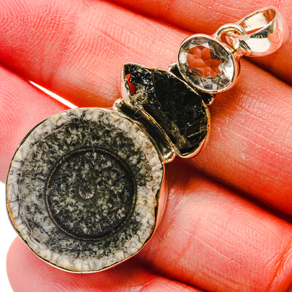 Goniatite Fossil Pendants handcrafted by Ana Silver Co - PD18130