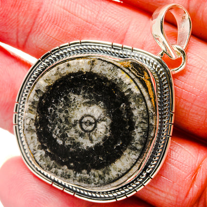Goniatite Fossil Pendants handcrafted by Ana Silver Co - PD18270