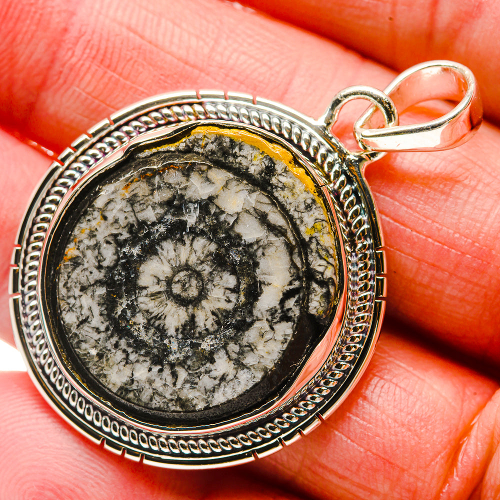 Goniatite Fossil Pendants handcrafted by Ana Silver Co - PD18332